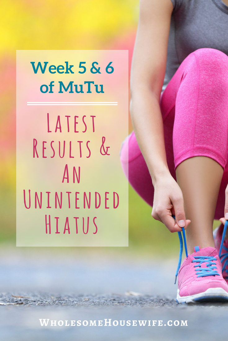 Week 5 & 6 of MuTu - Latest Results and An Unintended Hiatus