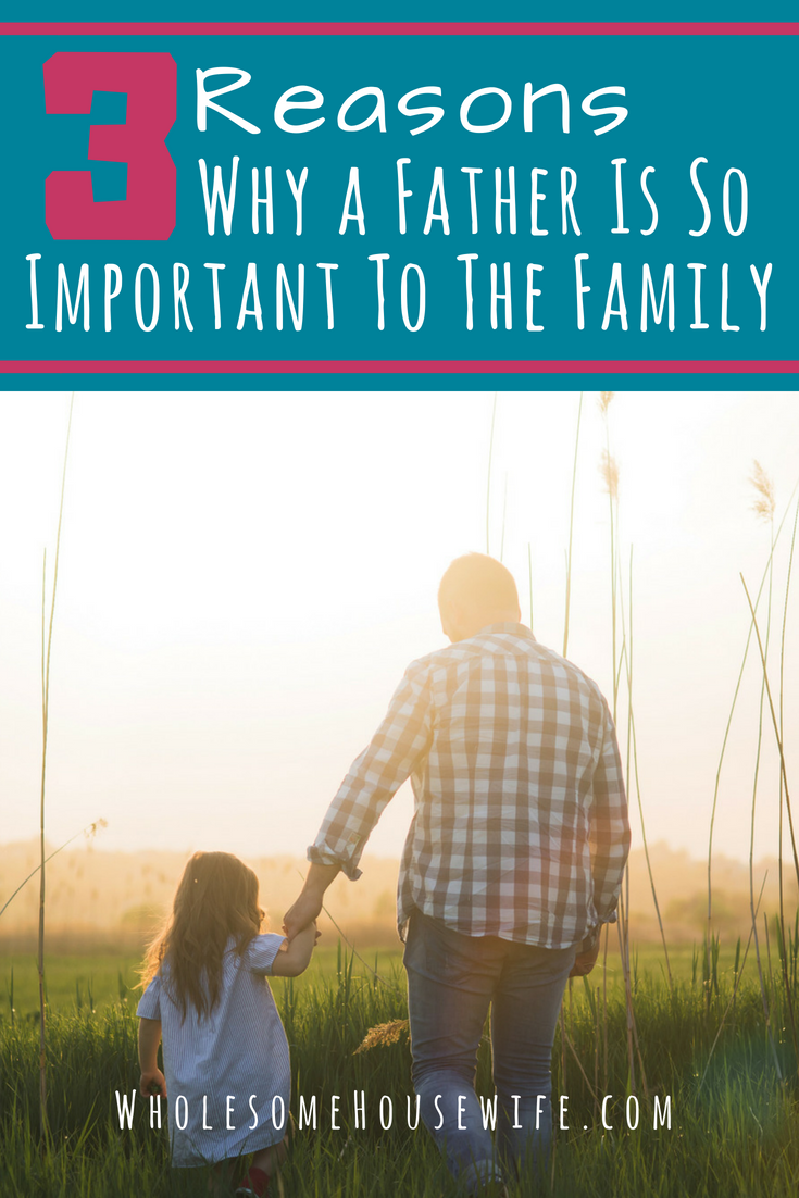 3 Reasons Why a Father Is So Important To The Family